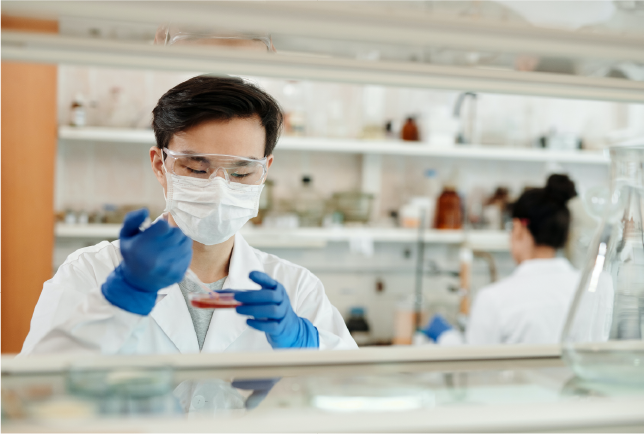 toma de muestras y laboratorio